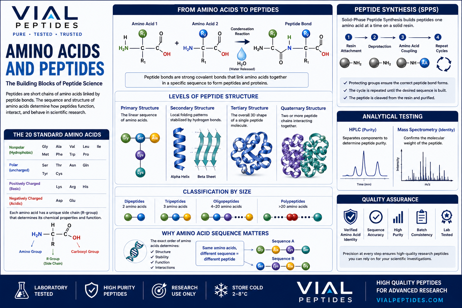 You are currently viewing Amino Acids and Peptides: Understanding the Building Blocks of Peptide Science