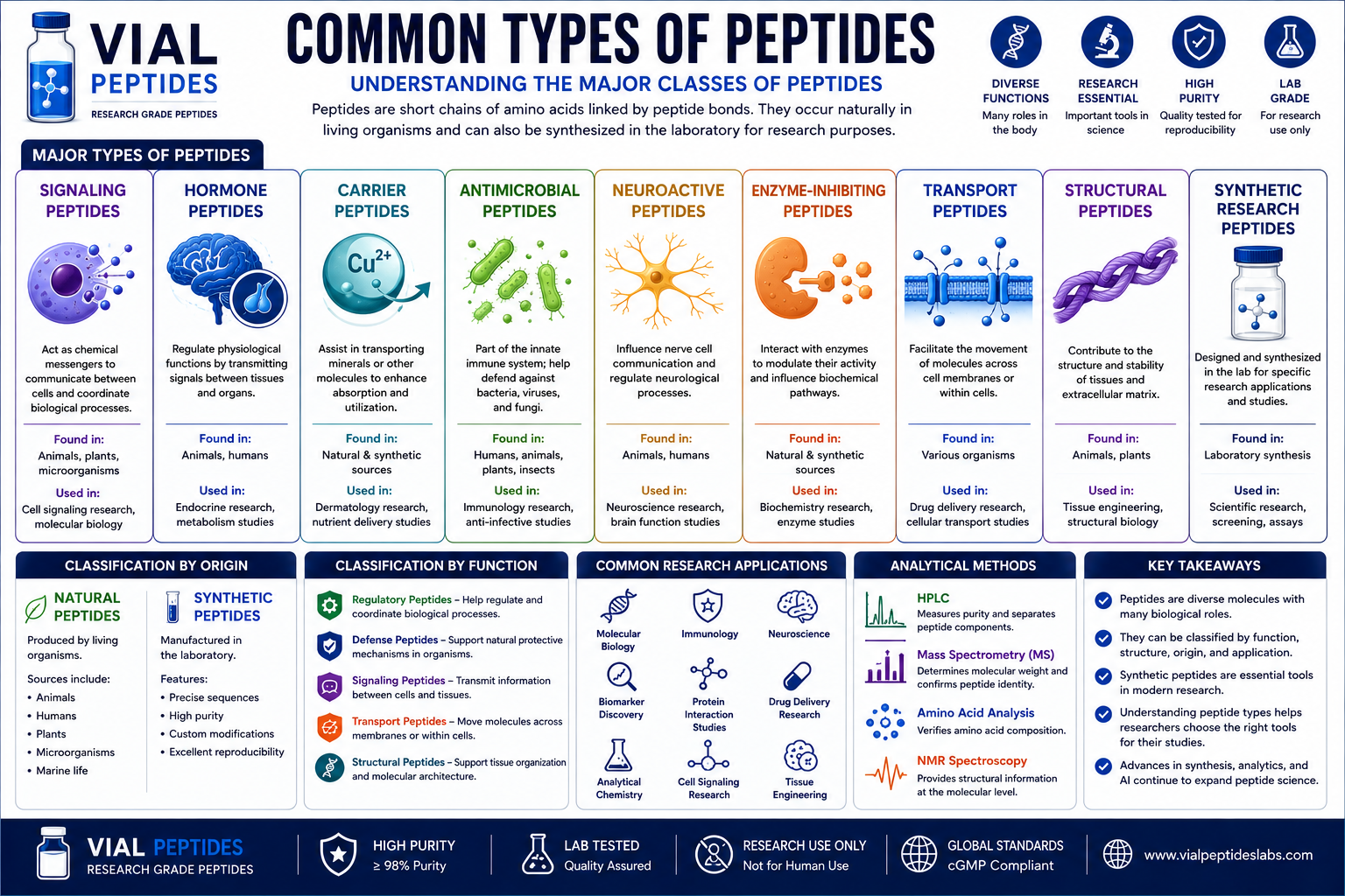You are currently viewing Common Types of Peptides: A Complete Guide to Peptide Classes