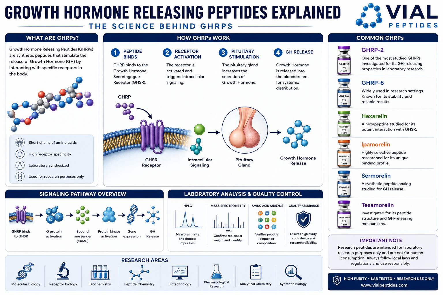 You are currently viewing Growth Hormone Releasing Peptides Explained | Complete Guide